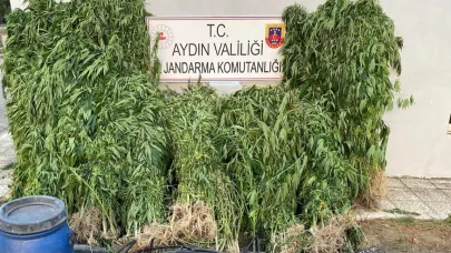 Uyuşturucu operasyonlarında 17 kişi yakalandı