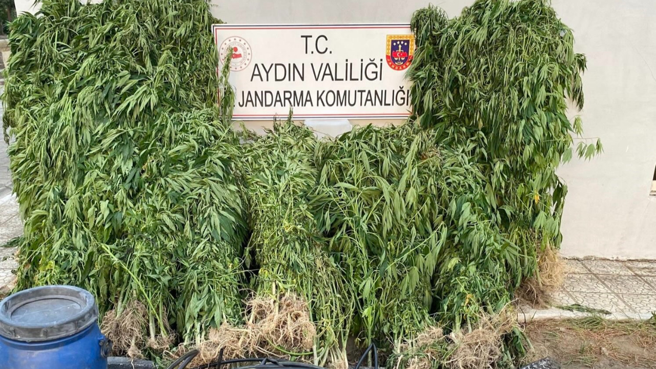 Uyuşturucu operasyonlarında 17 kişi yakalandı
