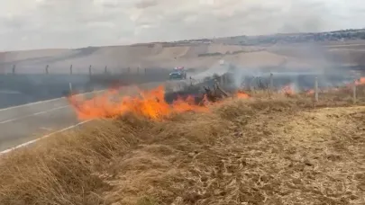 Tekirdağ'da çıkan yangın yerleşim alanlarını tehdit etti