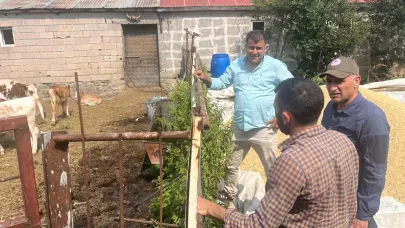 Kars’ta şap hastalığıyla mücadele sürüyor