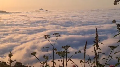 Karadeniz'in zirvelerinde doğa mucizesi