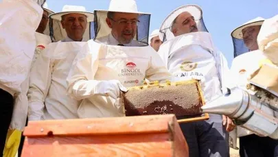 Bingöl balında hasat sevinci başladı