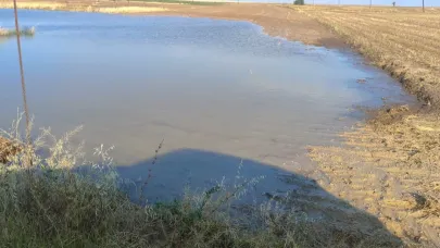 Beypazarı’nda sağanak yağış tarlalara zarar verdi