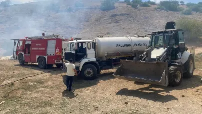 Yangın hayvanları telef etti