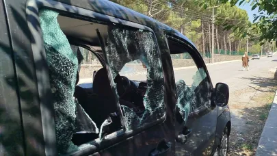 Park halindeki araca saldırı