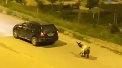 Kars'ta eşeğe zulüm: Arabaya bağlayıp sürüklediler