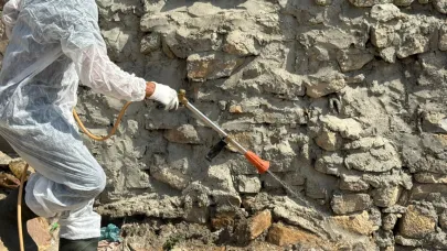 Akreplerin istila ettiği köyde ilaçlama yapıldı