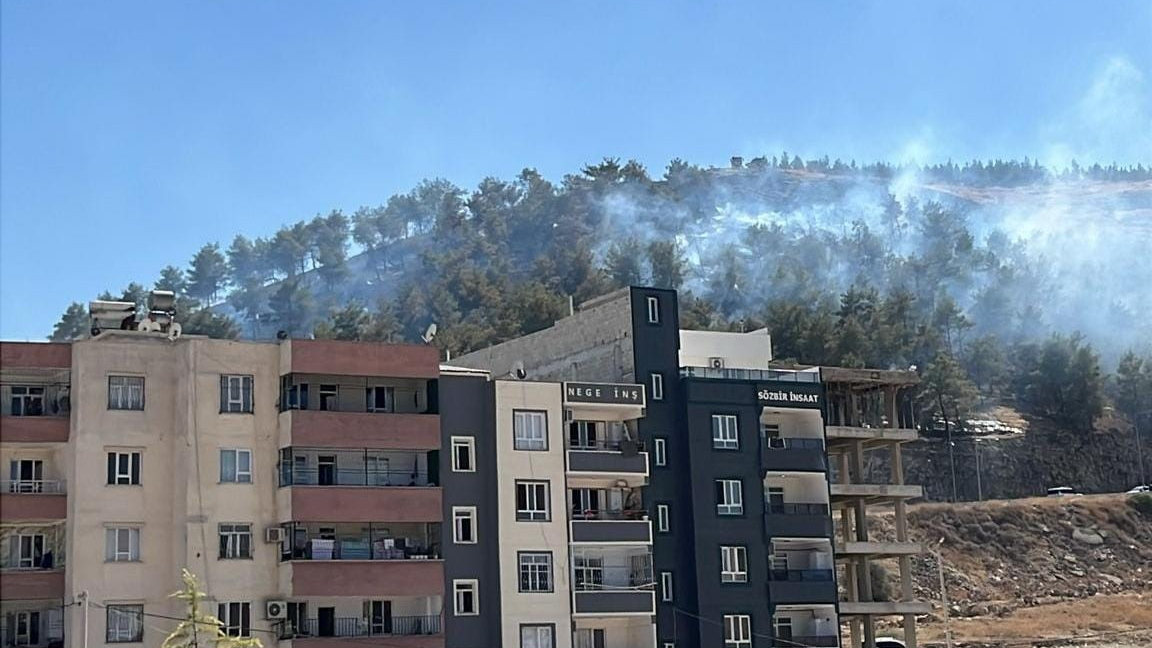 Şanlıurfa’da ağaçlık alanda çıkan yangın söndürüldü