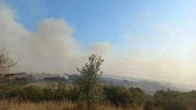 Balıkesir'de arazi yangını