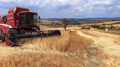 Kütahya’da hububat hasat kontrolleri sürdürülüyor