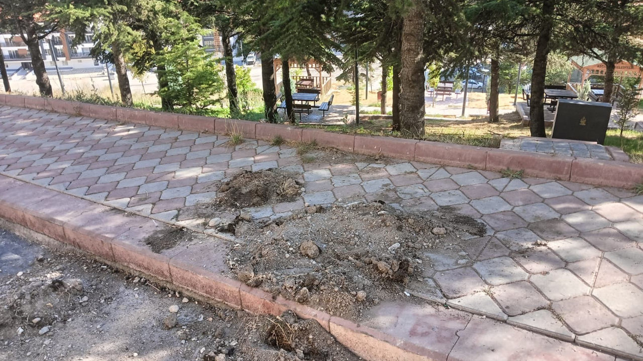 Yol yapım çalışmasında elektrik akımına kapılan işçi yaralandı
