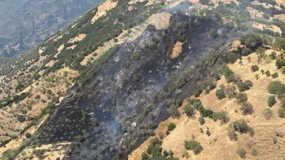 Aydın'da zirai alanda çıkan yangın kontrol altında