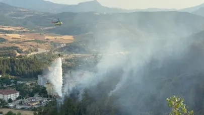 Orman yangınında zarar gören alanlar dronla görüntülendi