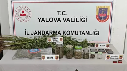 Yasa dışı kenevir ekimi yapan 3 şüpheli yakalandı