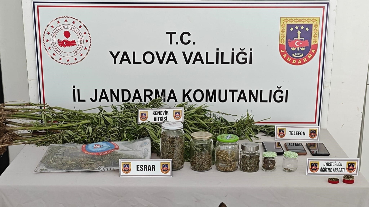 Yasa dışı kenevir ekimi yapan 3 şüpheli yakalandı