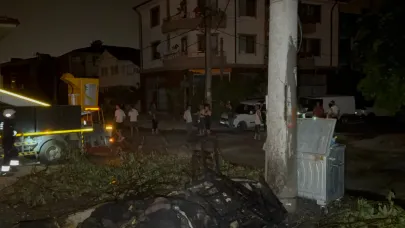 Anız yangını 20 bin nüfuslu mahallenin elektriğini kesti