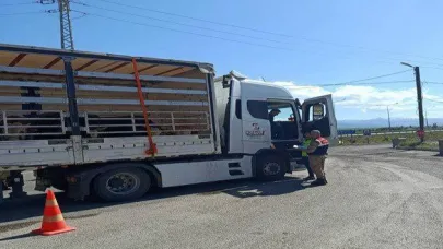 Erzurum'da düzensiz göçmen operasyonu