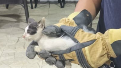Hatay’da miyavlamasıyla fark edilen yavru kedi kurtarıldı