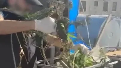 İzmir'de uyuşturucuya geçit yok!