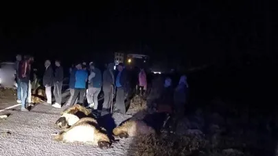Erzincan’da otomobil koyun sürüsüne daldı