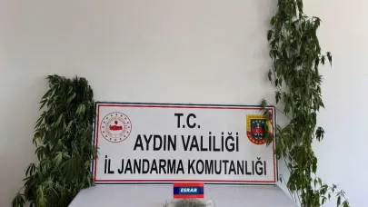 Aydın’da uyuşturucu operasyonu