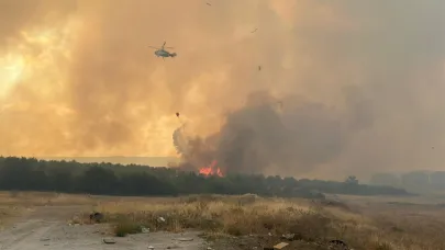 Çanakkale'de orman yangını... Ekiplerin müdahalesi sürüyor!