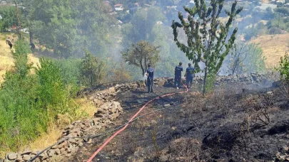 Kale bağlarında çıkan yangını korkuttu