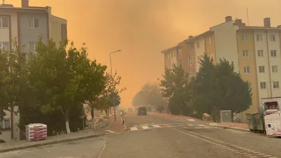 Çanakkale şehir merkezi dumanlara teslim oldu! Sokaklar boşaltılıyor