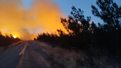 Çanakkale'deki yangını söndürme çalışmaları aralıksız sürüyor