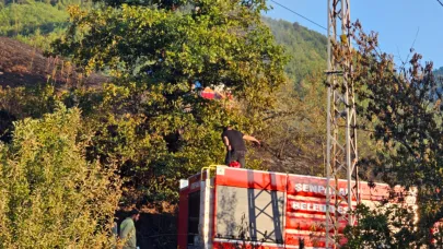 Kastamonu’da aynı bölgede ikinci orman yangını
