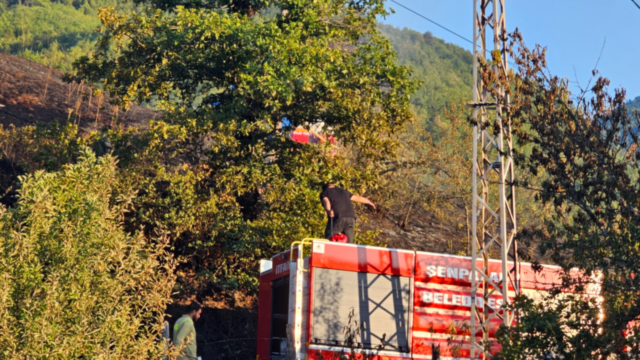 Kastamonu’da aynı bölgede ikinci orman yangını