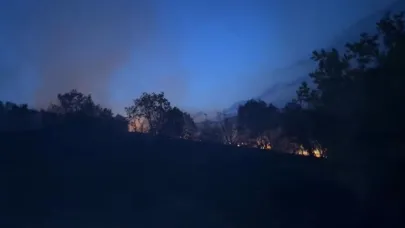 Diyarbakır’da ağaçlık alanda korkutan yangın!