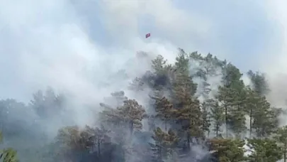 Anamur'da orman yangını