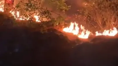 Isparta’da çıkan orman yangını büyümeden söndürüldü