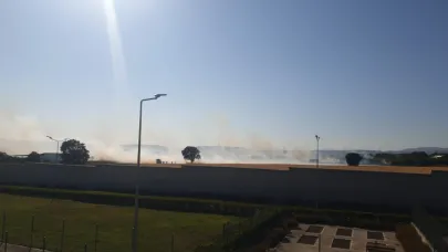 Tarladaki yangın paniğe sebep oldu