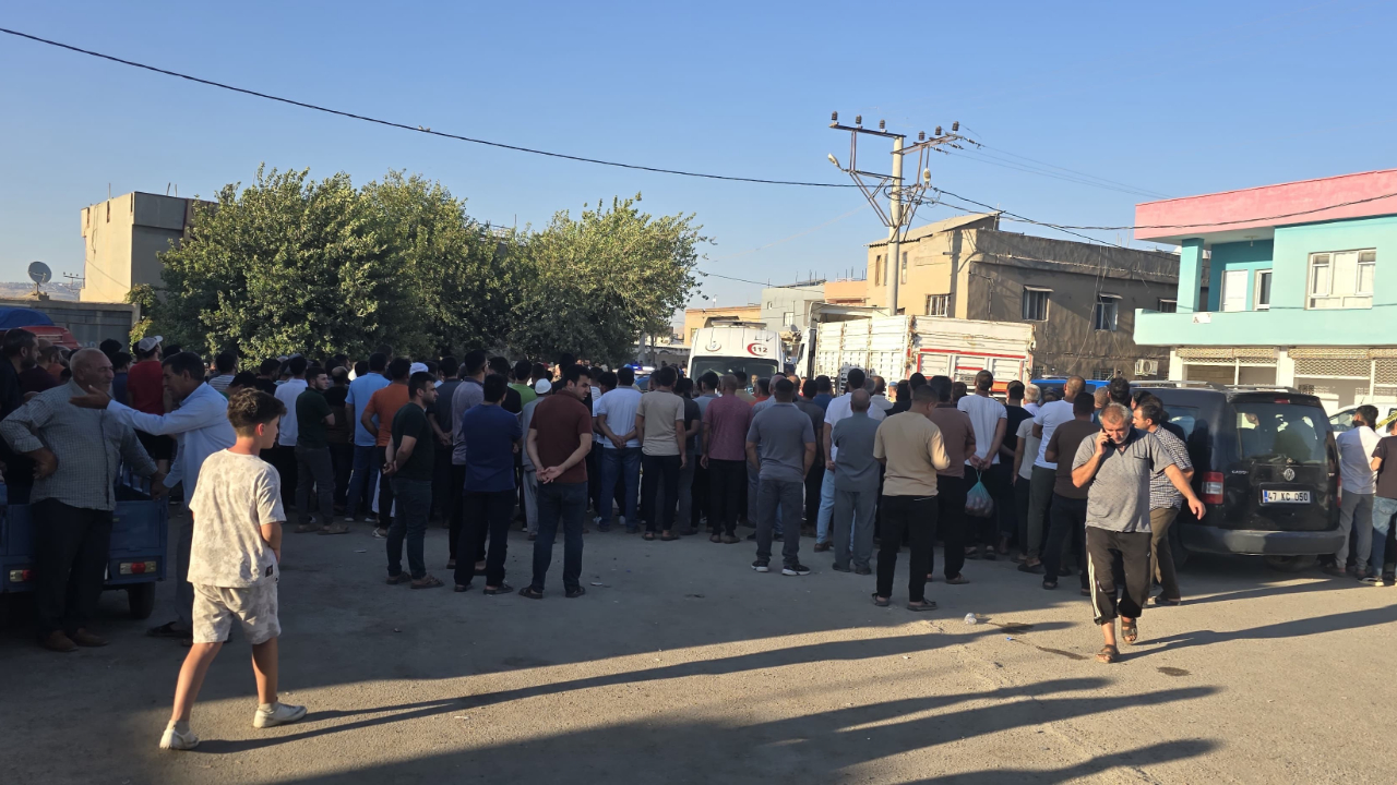 Mardin’de tırın çarptığı şahıs hayatını kaybetti
