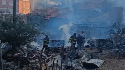 Sinop'ta yangın faciası: 2 ev, 2 ahır, 1 samanlık küle döndü