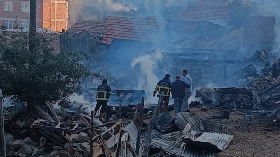 Sinop'ta yangın faciası: 2 ev, 2 ahır, 1 samanlık küle döndü
