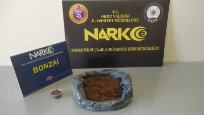 Ordu'da uyuşturucuya geçit yok: 2 şüpheli tutuklandı