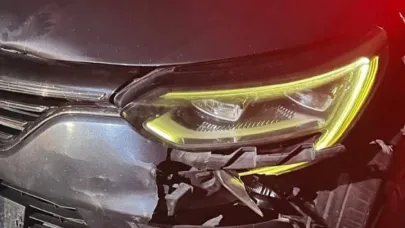 Otomobilin çarptığı yavru ayı telef oldu