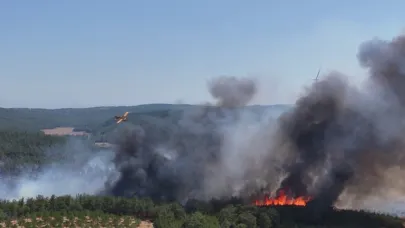 Çanakkale'de alevler yeniden yükseldi!