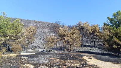 Şehzadeler'deki orman yangınıyla ilgili 1 kişi tutuklandı