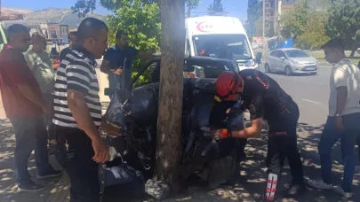 Otomobil ağaca ok gibi saplandı