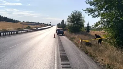 Yaşlı adamın ölümüne sebep olan tır sürücüsü yakalandı!