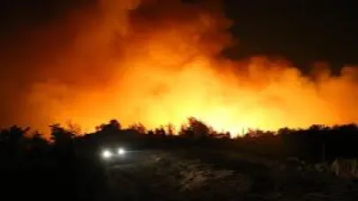 Mersin ve Kahramanmaraş'ta orman yangını