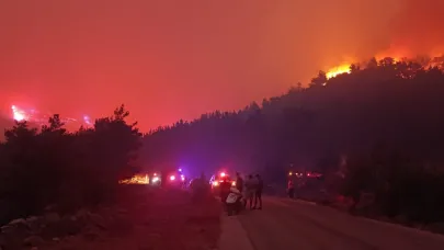 Mersin'deki orman yangınına müdahale sürüyor