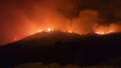 ssa’da çıkan yangında iki mahallede toplam 540 kişi tahliye edildi 14.