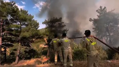 Silifke'de üç farklı noktada yangın sürüyor