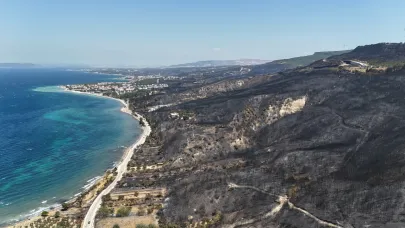 Yangından geriye kalan acı tablo!