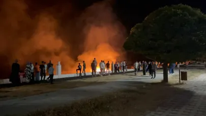 Van'da anız yangını!
